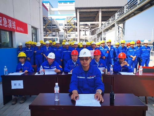 5f2bb62835478.jpg 1.jpg