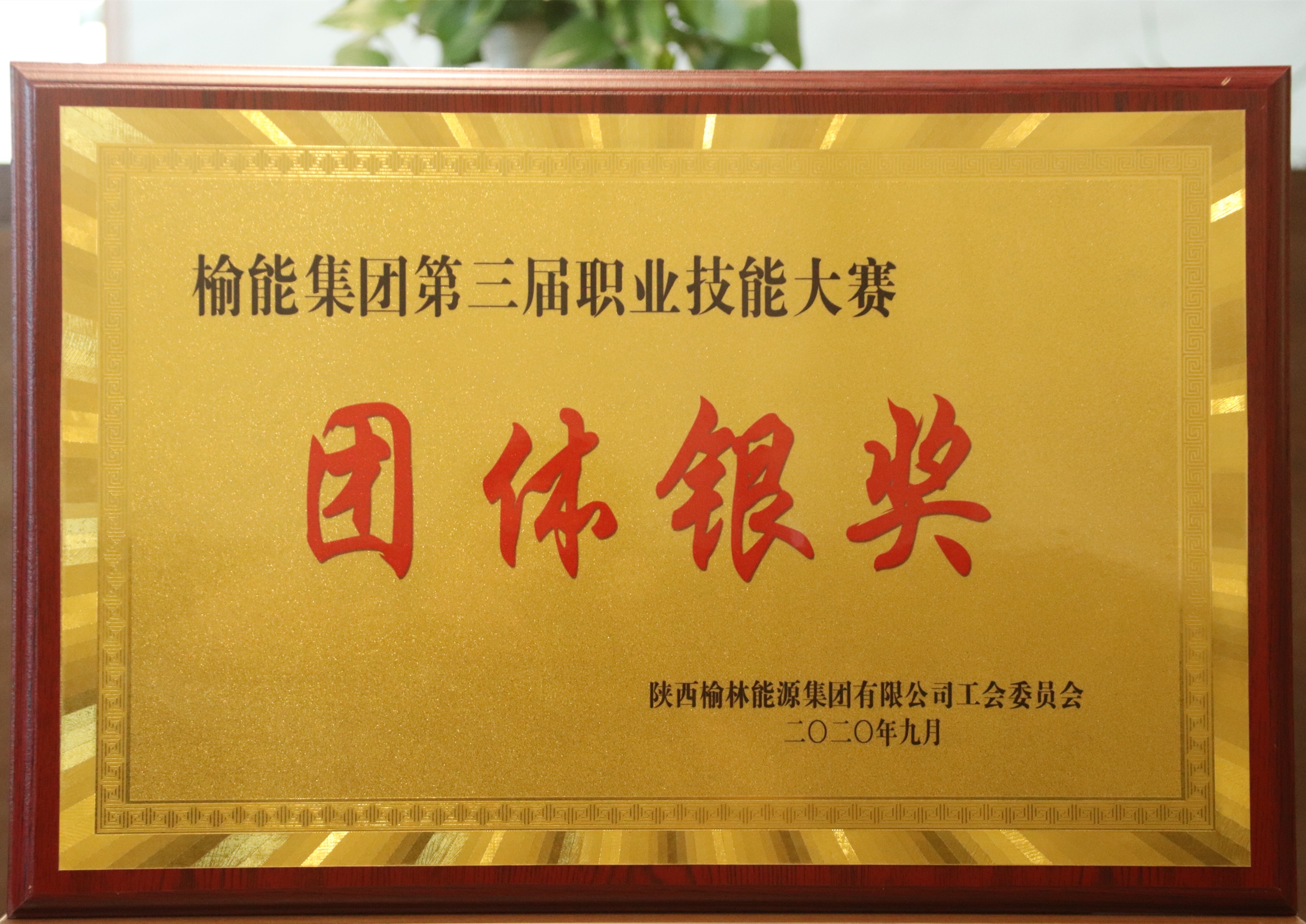 5f52eb9d2c7b8.JPG IMG_6171.JPG